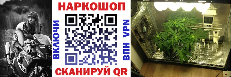 Виды наркоты Валуйки Альфа ПВП  Гашиш 