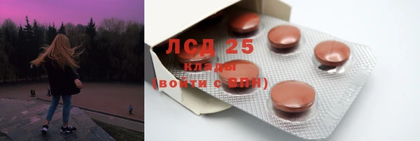 ГАЛЛЮЦИНОГЕННЫЕ ГРИБЫ Осинники