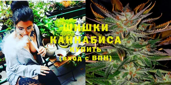 дмт Белокуриха